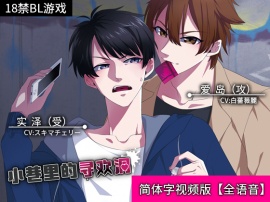 小巷里的寻欢洞【视频版】